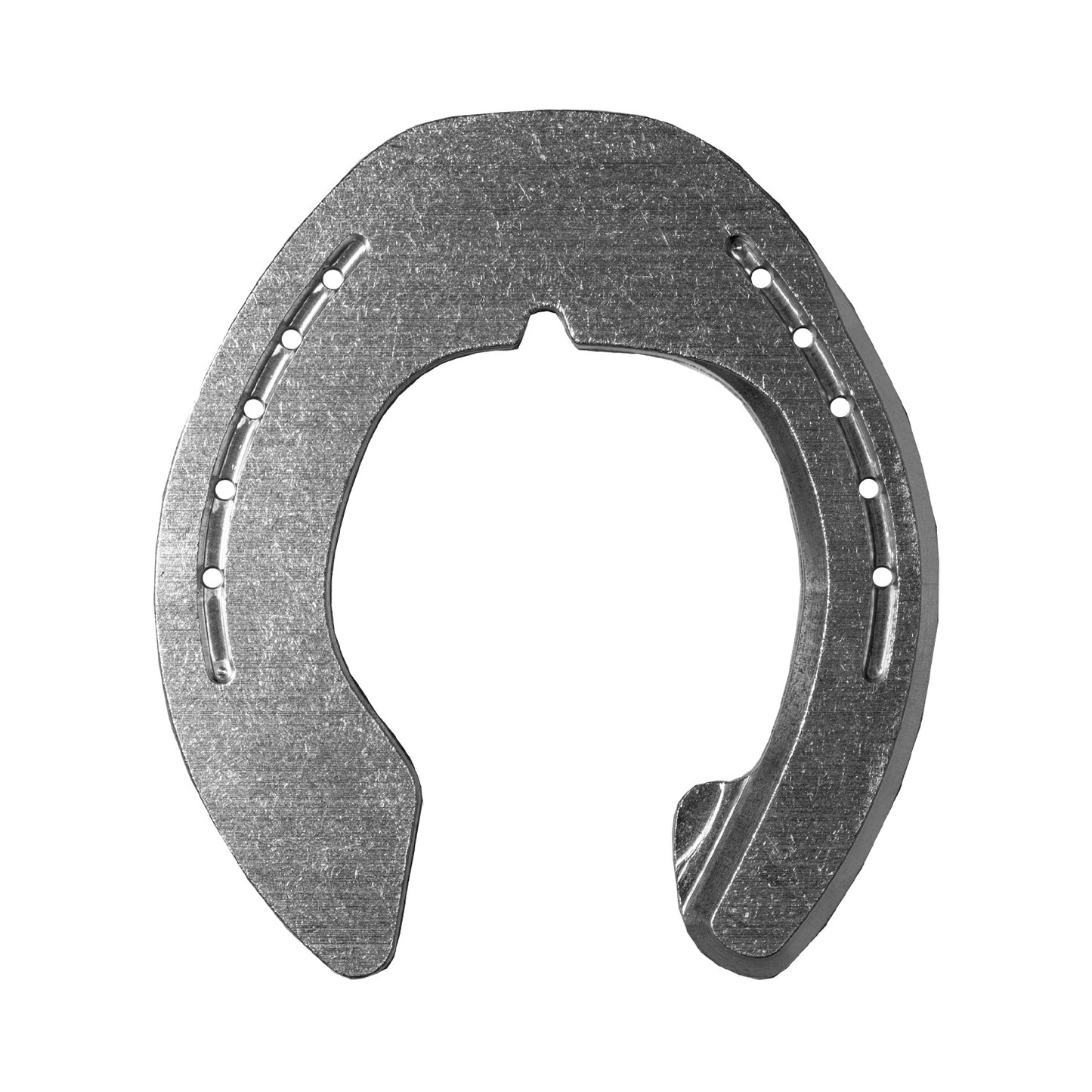 Denoix Suspensory Branch B Hind
