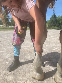 Helper Apron - 17" Length